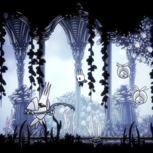 Hollow Knight